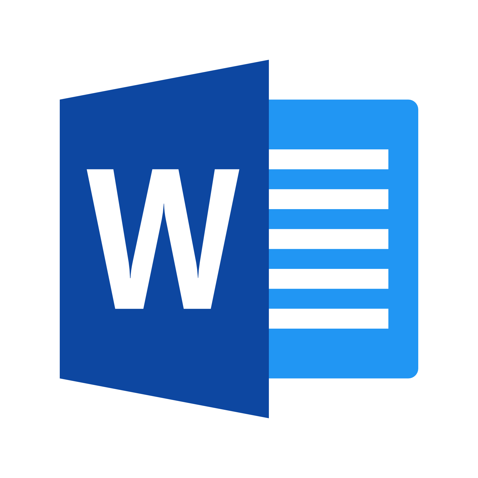 microsoft word